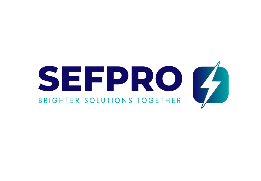 SEFPRO Logo History