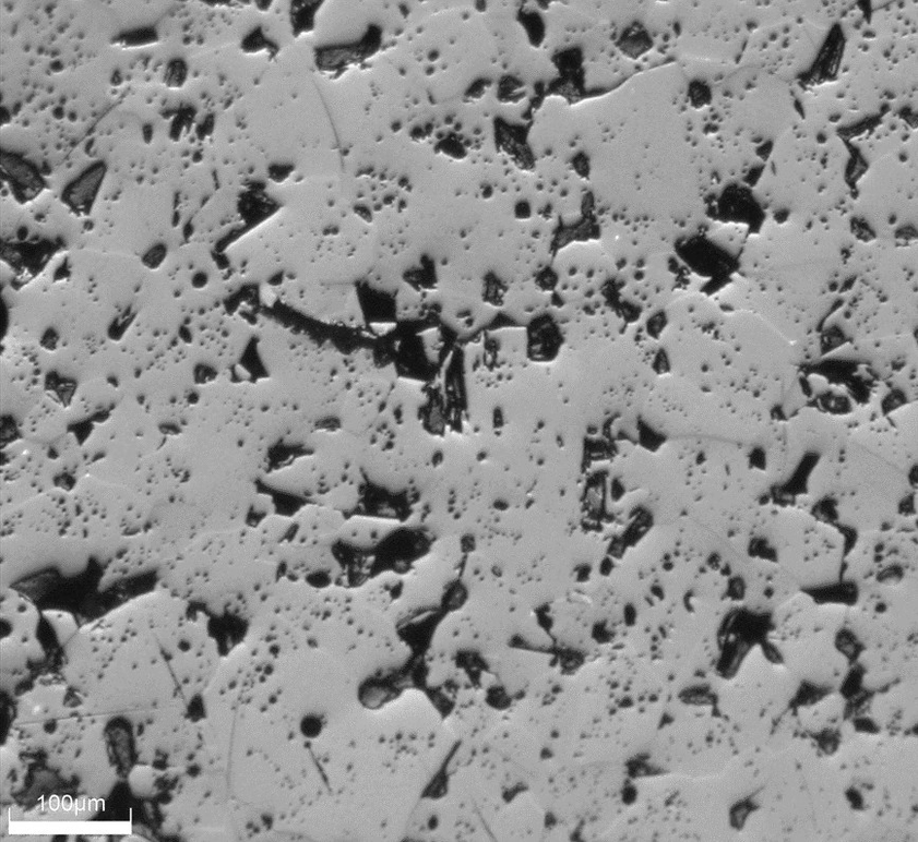 T1186 microstructure