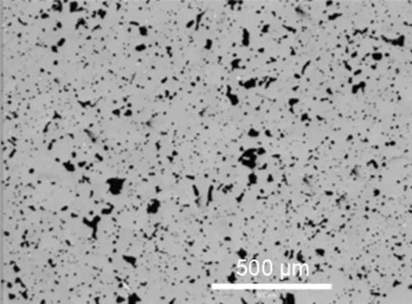 T1187 LC microstructure