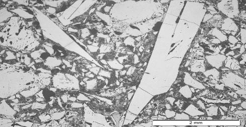 Arkal71M Microstructure