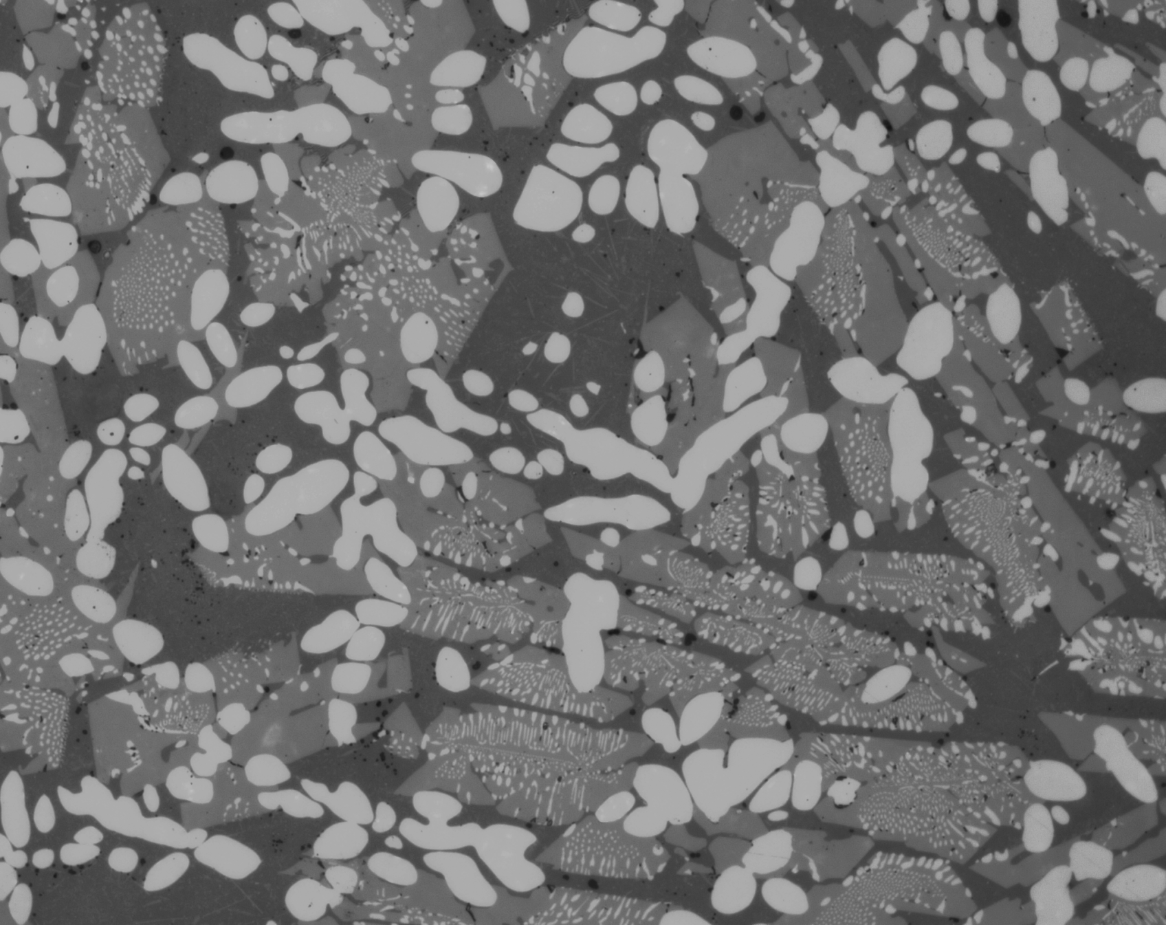 XeBOOST micrography