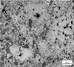 WOOL 50 Microstructure