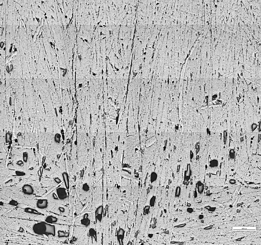 ER 1621 RX Microstructure