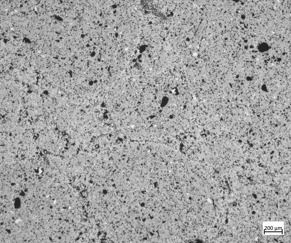 Microstructure-sintered-WOOL-30-SEFPRO